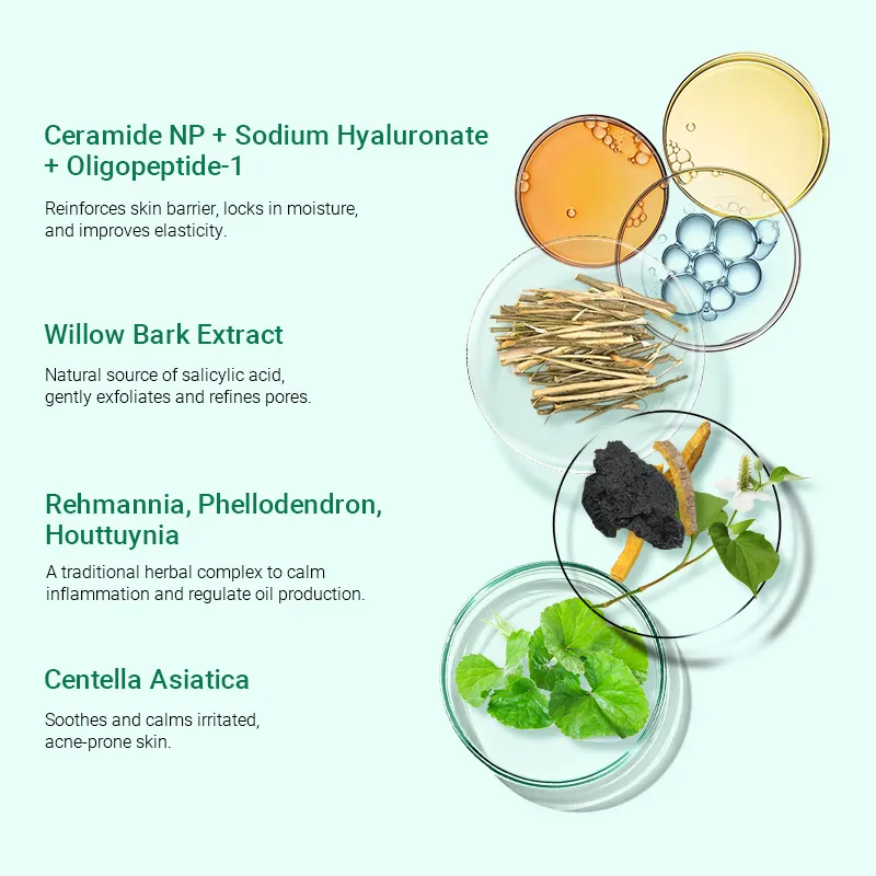 A list of skincare ingredients with detailed benefits and corresponding images: Ceramide NP with Sodium Hyaluronate and Oligopeptide-1 for skin barrier and elasticity, Willow Bark Extract for exfoliating and refining pores, Rehmannia, Phellodendron, and Houttuynia for calming inflammation and oil regulation, and Centella Asiatica for soothing acne-prone skin.